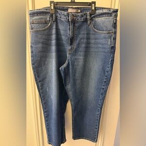JustUsa Jeans Size 18W